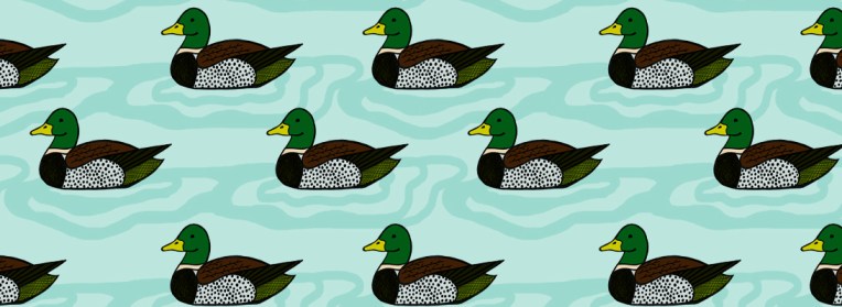 duckrepeat-web