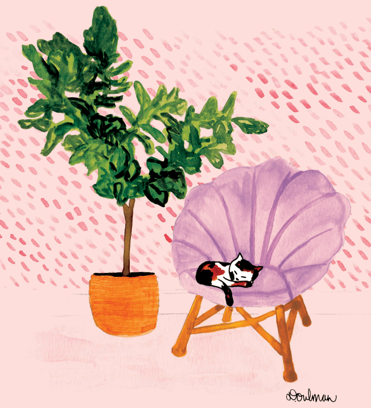 Screen Shot 2017-10-17 at 10.32.50 PM